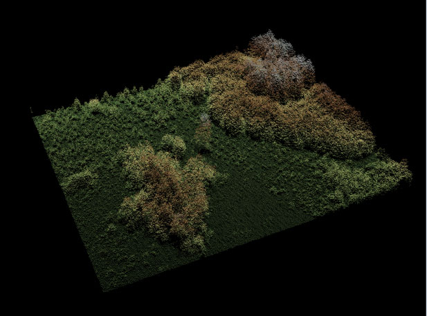 Das Bild zeigt die Struktur eines Waldes, welche durch eine Punktwolke mit Punkten in unterschiedlichen Farben abgebildet wird