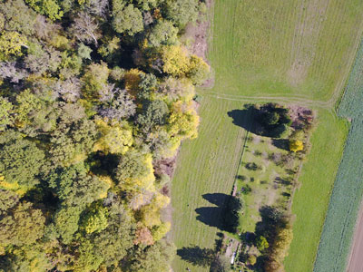 Bei diesem Bild handelt es sich um ein Luftbild  mit klar ersichtlicher Grenze zwischen Wald in der linken Bildhälfte und Landwirtschaftsland in der rechten Bildhälfte