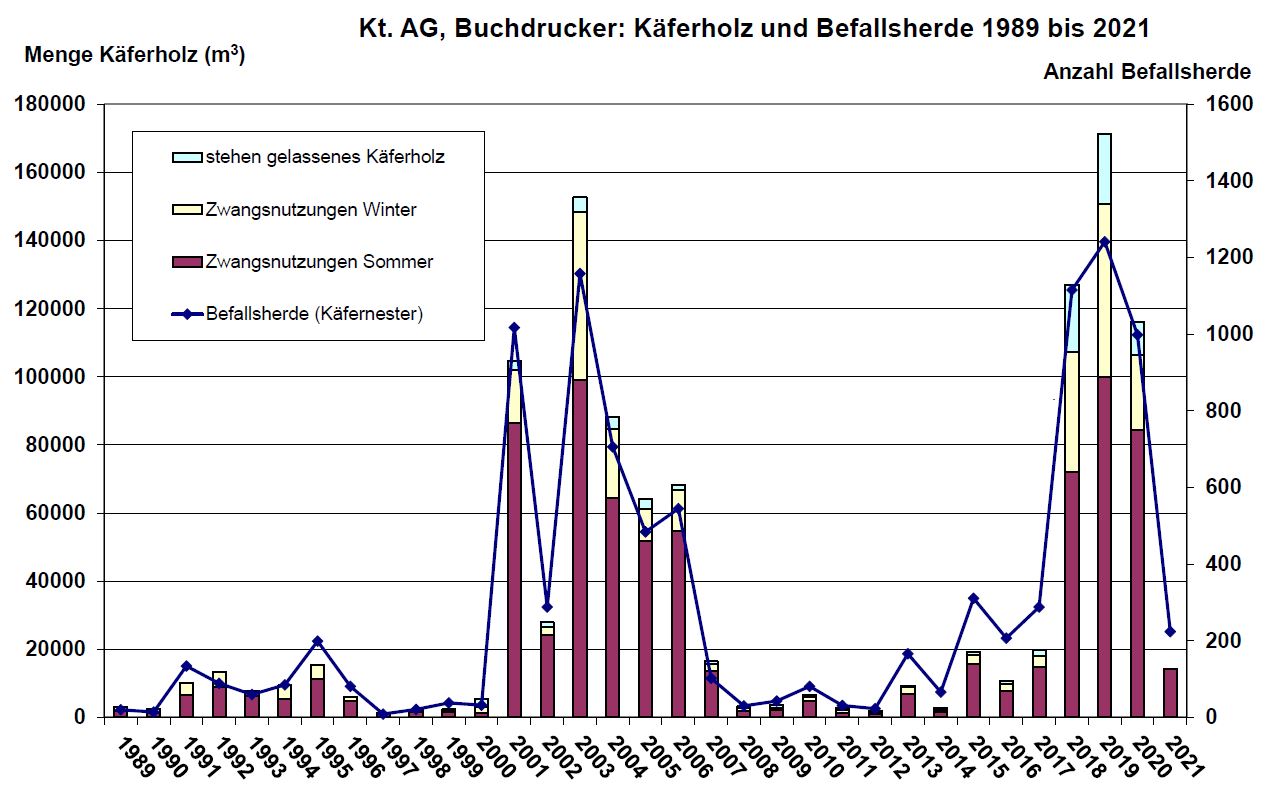 Grafik zur Borkenkäfer-Situation im Kanton Aargau