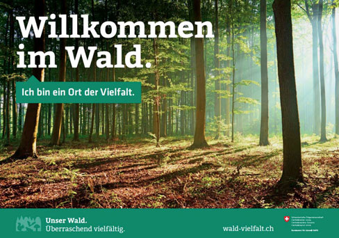 Plakat zur Kampagne "Wald-Vielfalt"