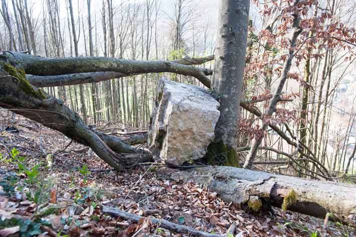 Grosser Stein am Hnag an einem Baum angelehnt
